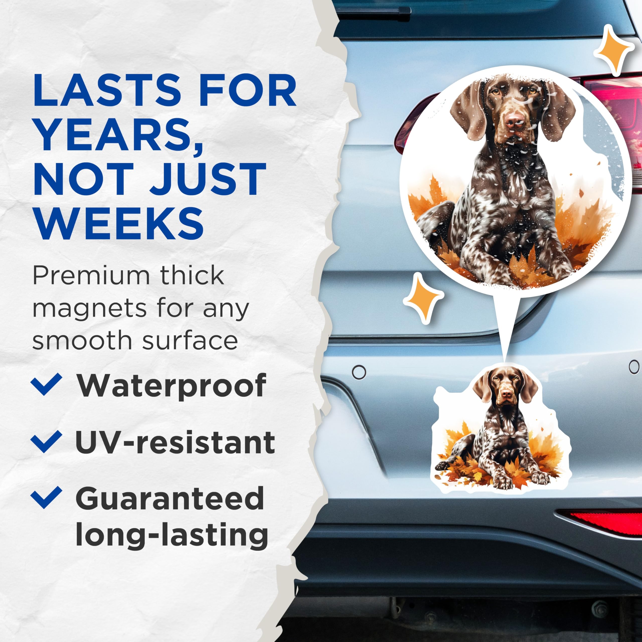 (2 Pack) German Shorthaired Pointer Magnets - Autumn Dog Art - Pet Lover Decor for Owners - 5 Inches On Longest Side - Thick Durable Magnet - Made in USA - MAG28982