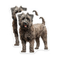(2 Pack) Bouvier des Flandres Dog Magnets - Shaggy Breed Decor - Pet Lover Refrigerator Accent - 5 Inches On Longest Side - Thick Durable Magnet - Made in USA - MAG29406