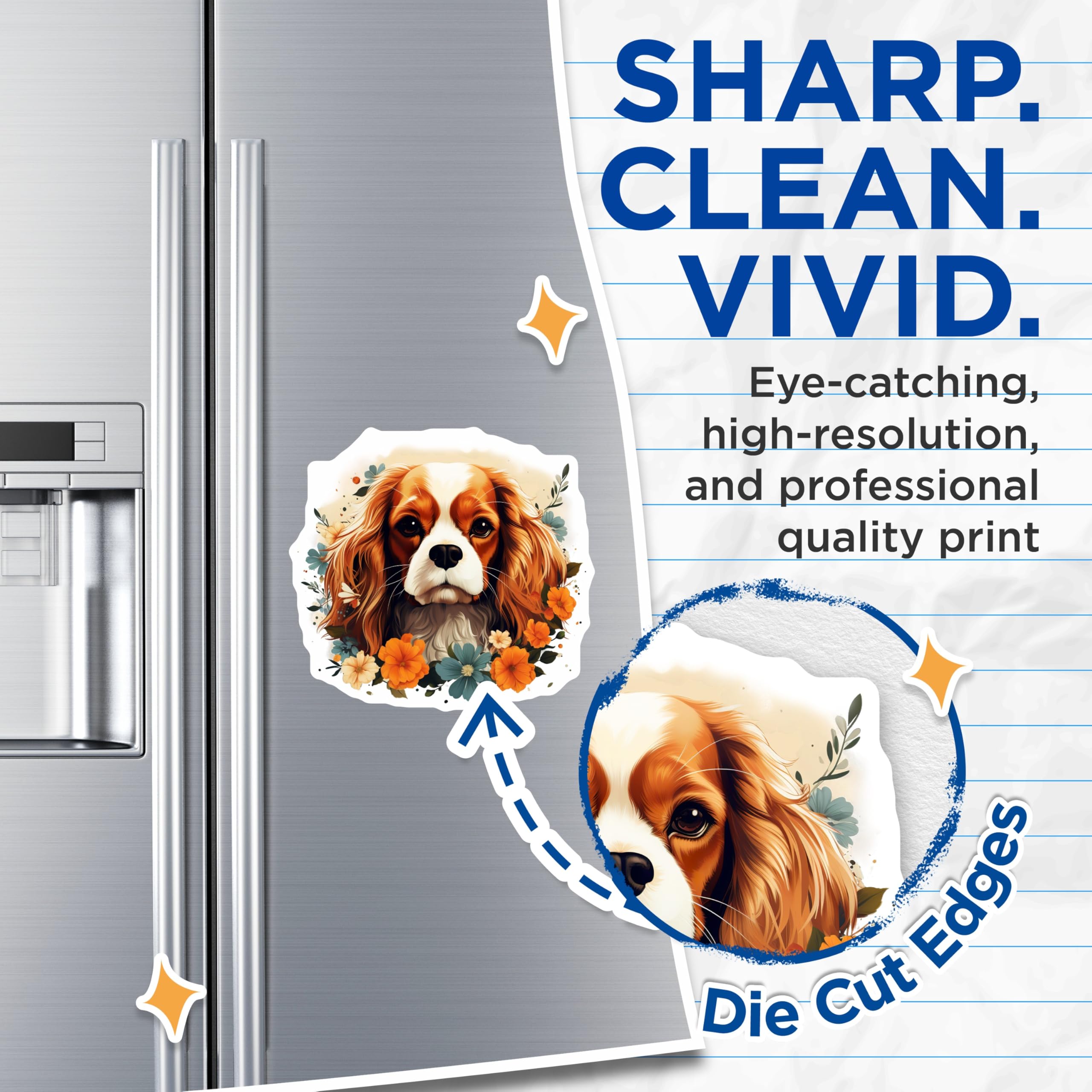 (2 Pack) Cavalier King Charles Spaniel Magnets - Blenheim Dog Portrait Decor - Floral Canine Art - Adorable Pet Lover Display - 5 Inches On Longest Side - Thick Durable Magnet - Made in USA - MAG24055