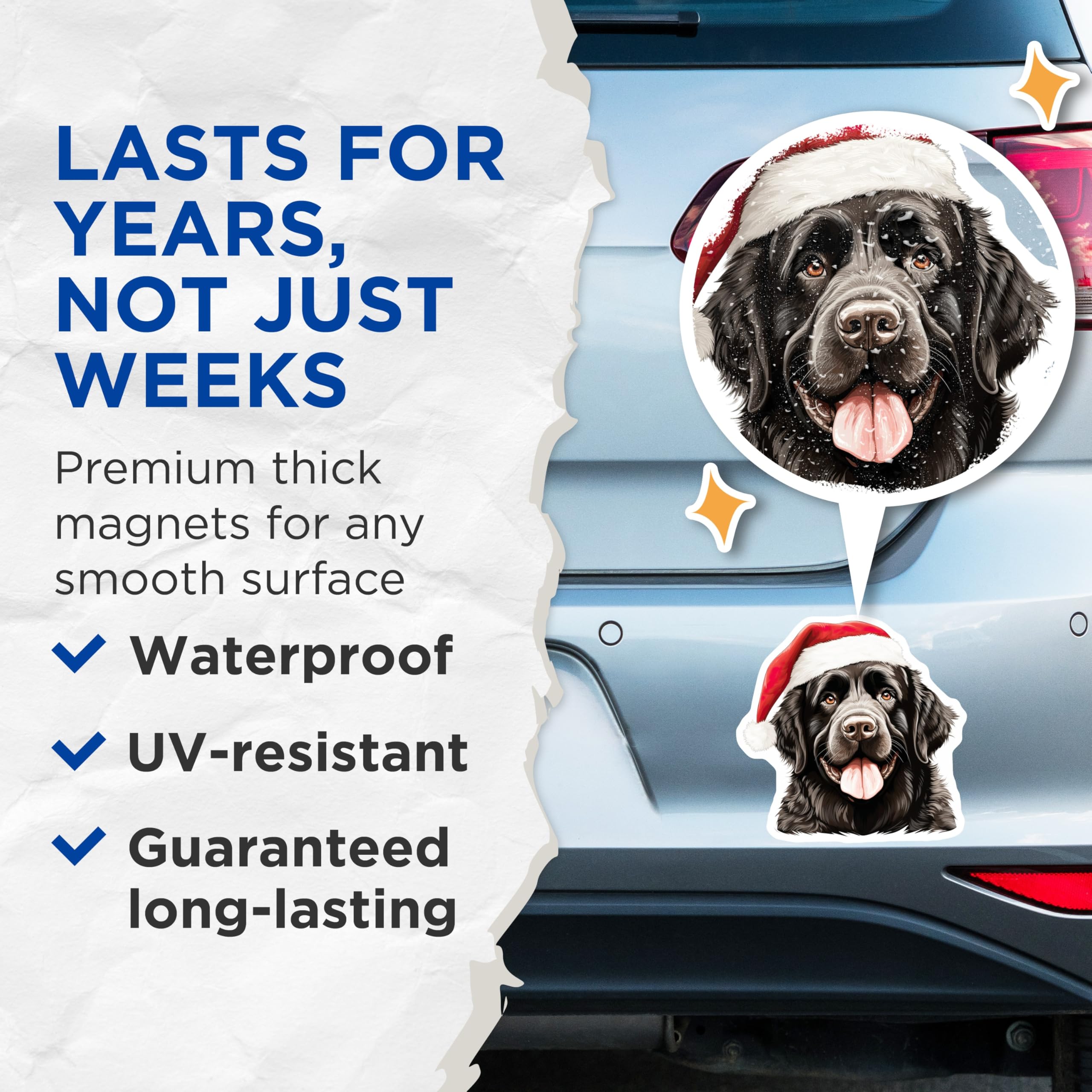 (2 Pack) Newfoundland Dog Magnets - Christmas Holiday Decor - Festive Pet Lover Accessory - 5 Inches On Longest Side - Thick Durable Magnet - Made in USA - MAG24142