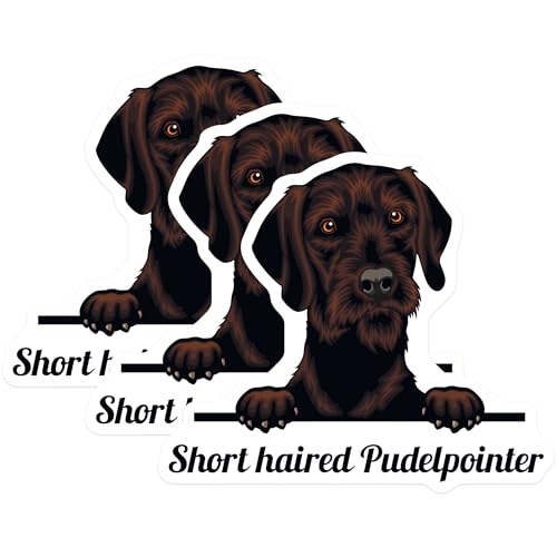 (3 Pack) Short Haired Pudelpointer Decals - Dog Breed Decal - Laptop Decals - 3 Inches On Longest Side - Easy Peel & Apply - Made in USA - 3MCS2997