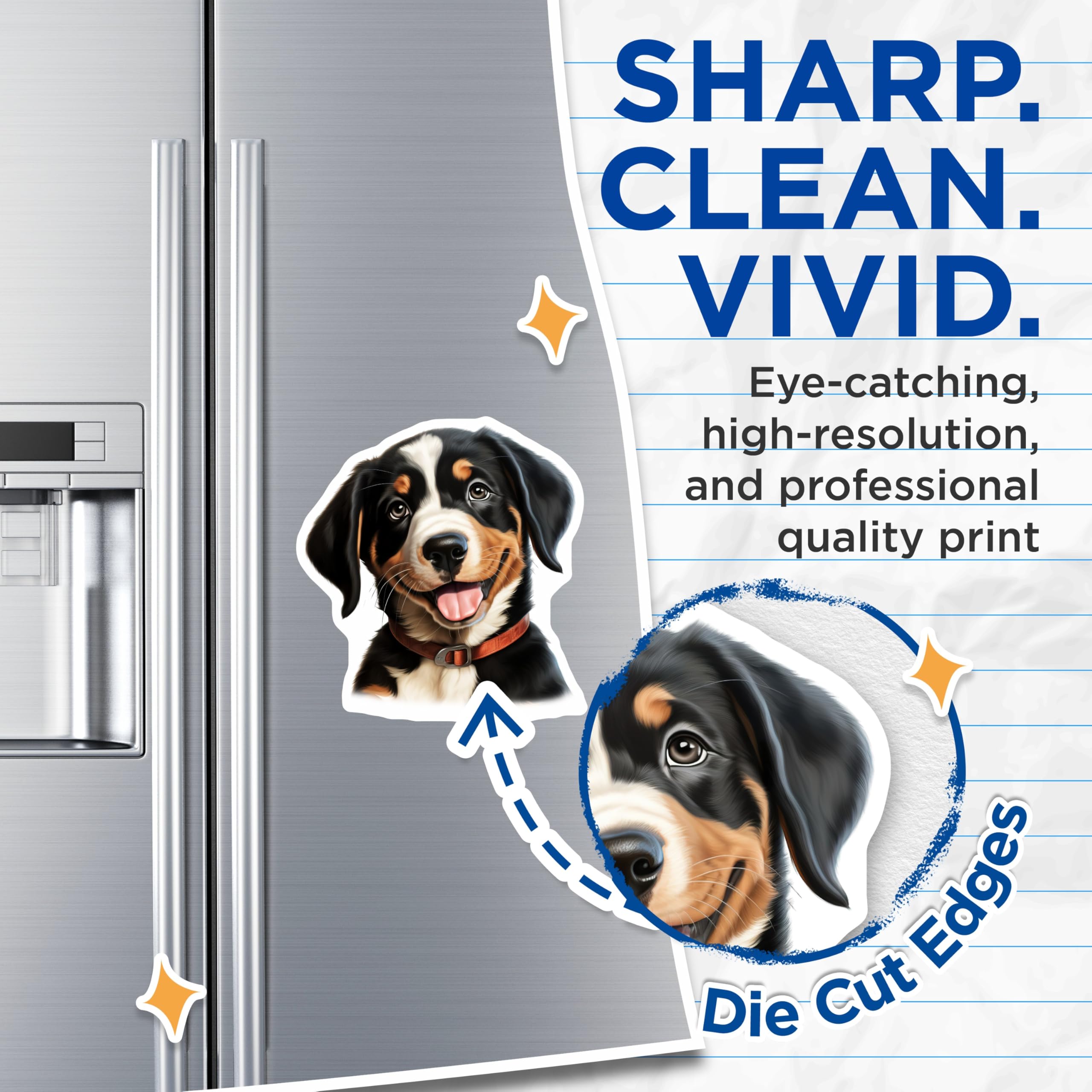 (2 Pack) Bernese Mountain Dog Puppy Magnets - Cute Dog Lover Fridge Decor - Tri Color Berner Mom Dad Animal Lover - 5 Inches On Longest Side - Thick Durable Magnet - Made in USA - MAG30428