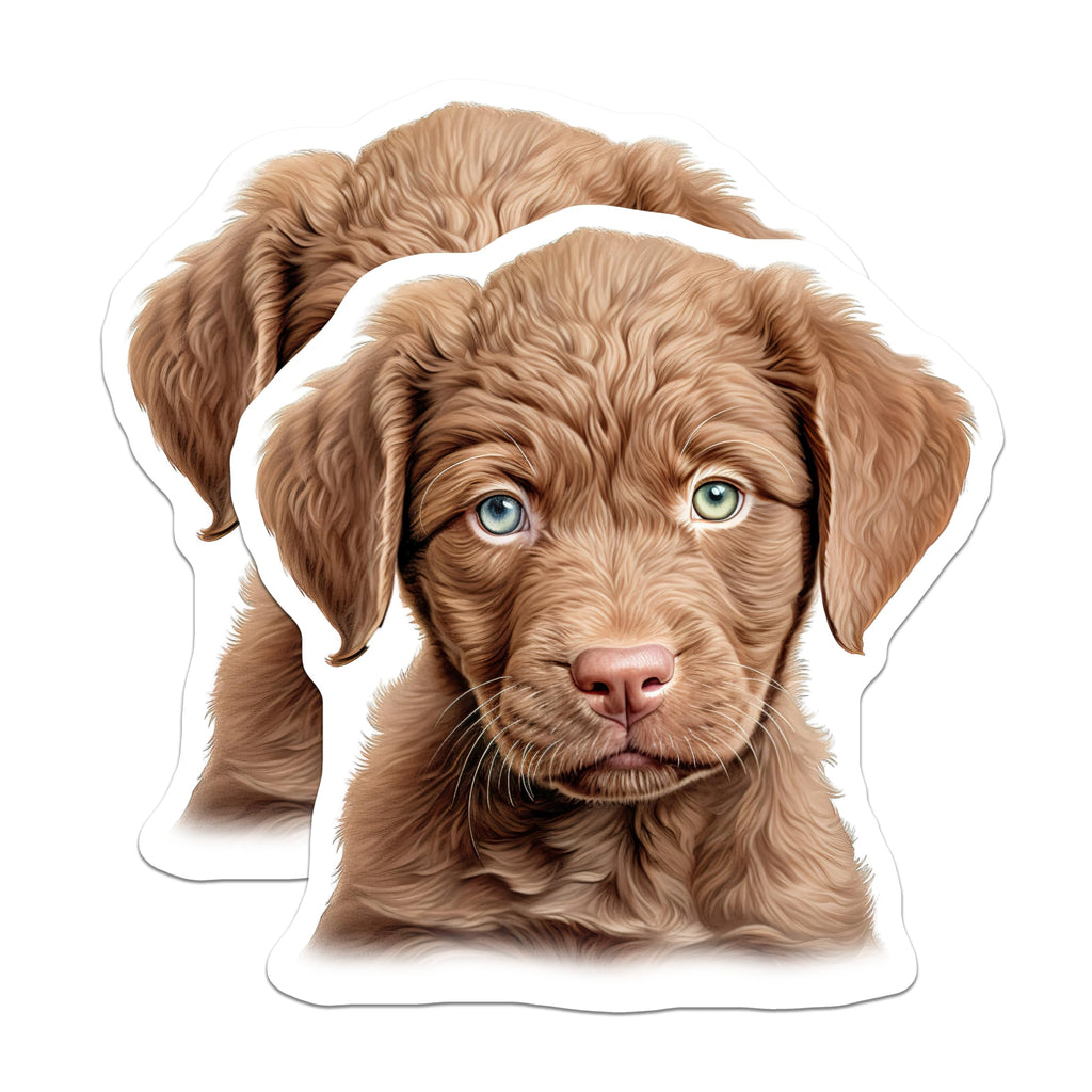 (2 Pack) Brown Puppy Magnets - Heterochromia Dog Decor - Cute Pet Animal Art - Heterochromatic Eyes Kitchen Locker Magnets - 5 Inches On Longest Side - Thick Durable Magnet - Made in USA - MAG23272