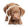 (2 Pack) Brown Puppy Magnets - Heterochromia Dog Decor - Cute Pet Animal Art - Heterochromatic Eyes Kitchen Locker Magnets - 5 Inches On Longest Side - Thick Durable Magnet - Made in USA - MAG23272