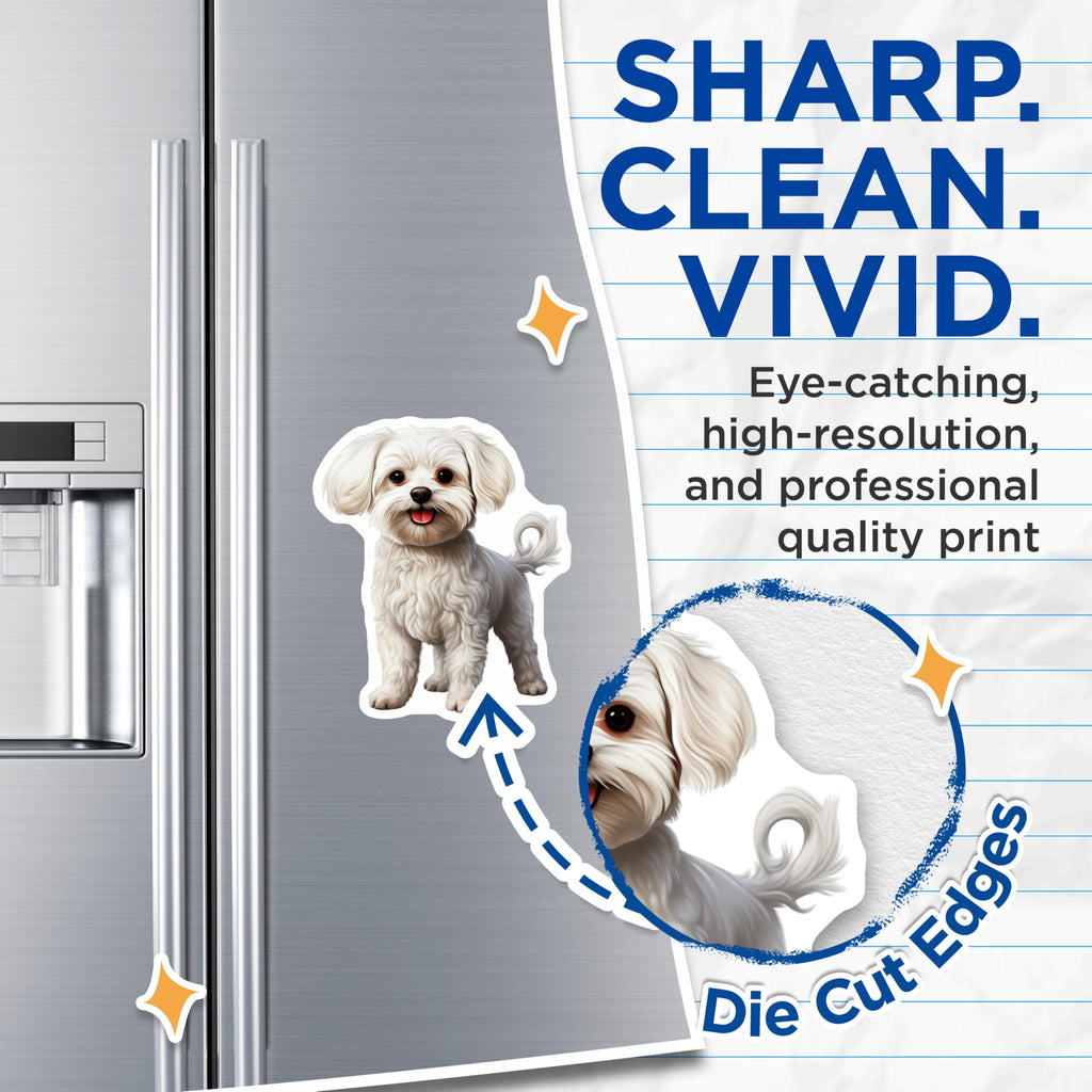 (2 Pack) Maltese Dog Magnets - Fluffy Puppy Magnets - Cute White Dog Decor - Pet Owner Kitchen Accessories - 5 Inches On Longest Side - Thick Durable Magnet - Made in USA - MAG25157