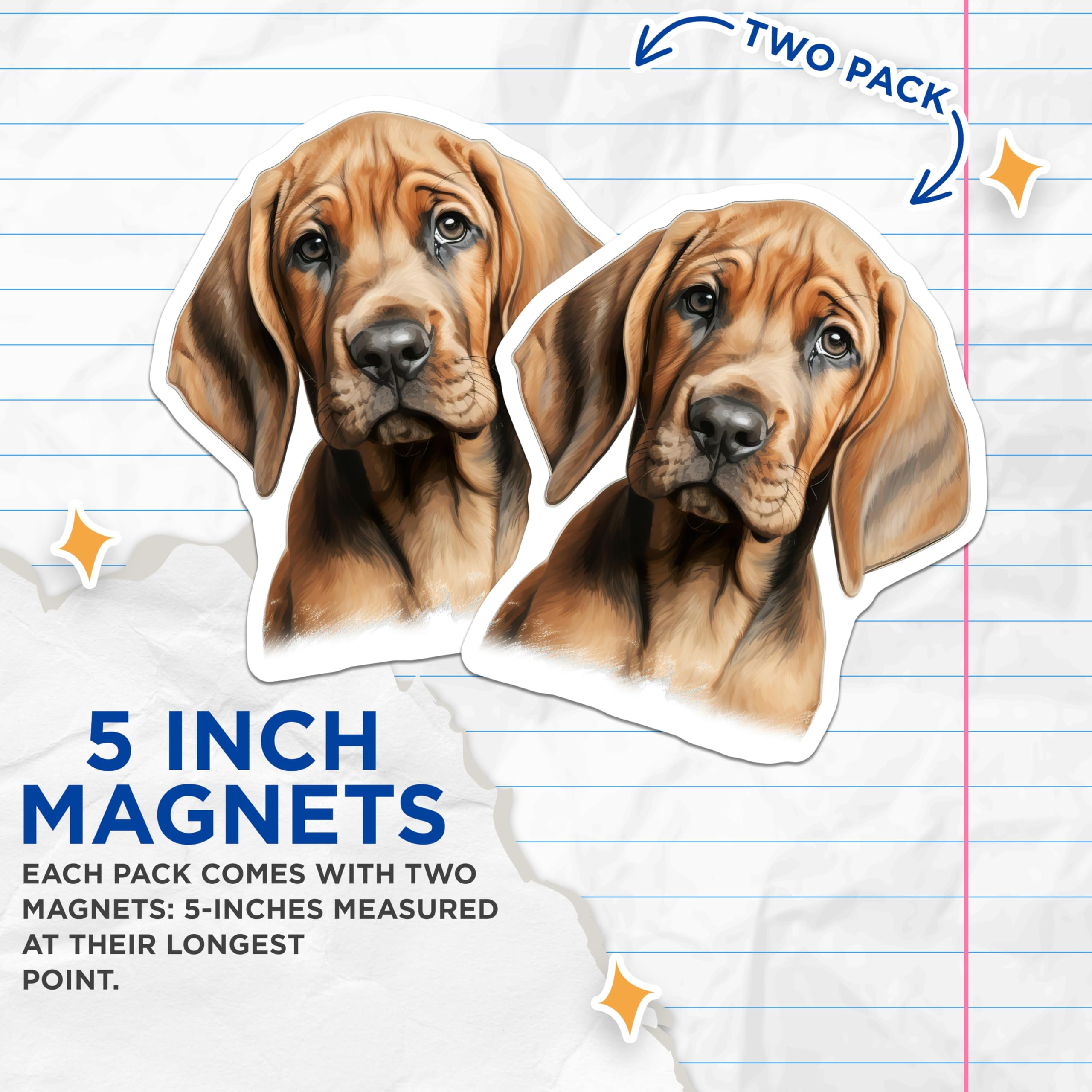 (2 Pack) Bloodhound Puppy Magnets - Cute Dog Pet Owner Decor - Animal Lover Fridge Locker Decor for Dog Mom - 5 Inches On Longest Side - Thick Durable Magnet - Made in USA - MAG28912