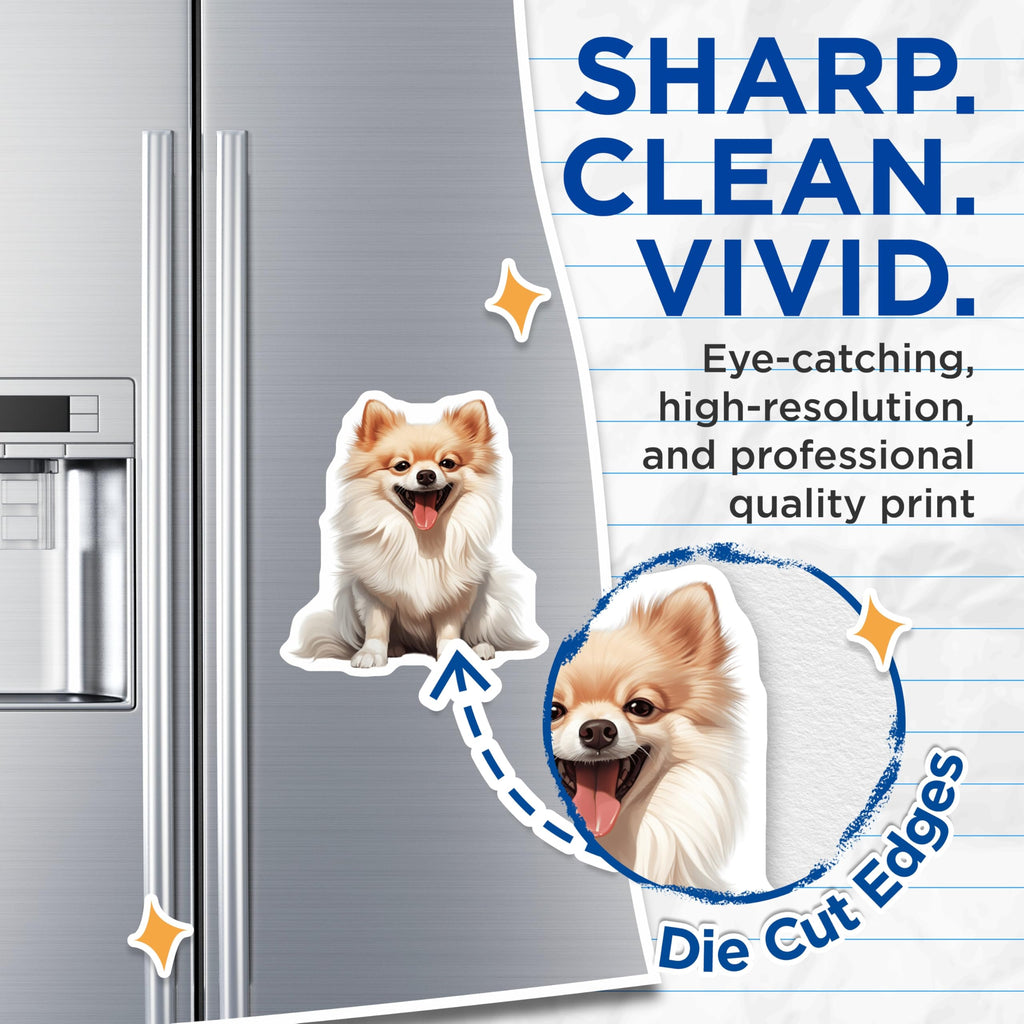 (2 Pack) Smiling Pomeranian Dog Magnets - Cute Puppy Refrigerator Decor - Pet Owner Animal Lover Locker Magnet - 5 Inches On Longest Side - Thick Durable Magnet - Made in USA - MAG28993