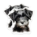 (2 Pack) Cute Schnauzer Puppy Magnets - Dog Lover Refrigerator Decor - Pet Owner Kitchen Accessory - 5 Inches On Longest Side - Thick Durable Magnet - Made in USA - MAG29243