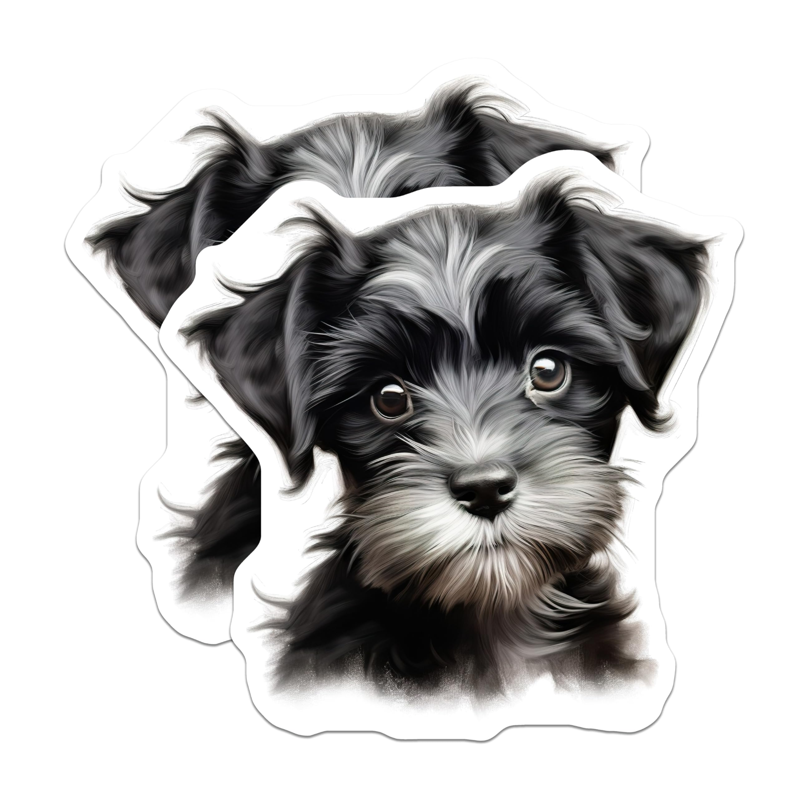 (2 Pack) Cute Schnauzer Puppy Magnets - Dog Lover Refrigerator Decor - Pet Owner Kitchen Accessory - 5 Inches On Longest Side - Thick Durable Magnet - Made in USA - MAG29243