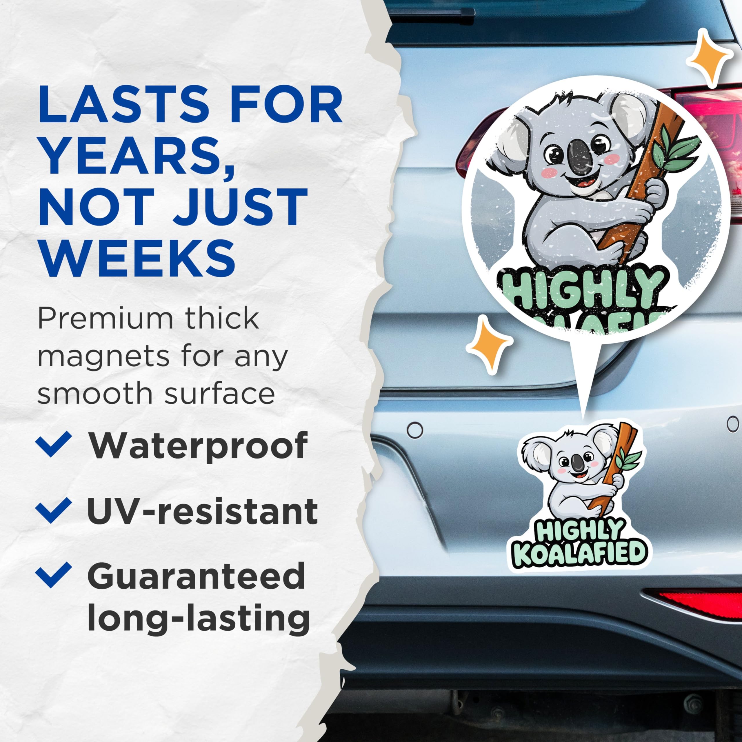 (2 Pack) Highly Koalafied Magnets - Cute Koala - Animal Magnets for Fridge - Fun and Playful Magnets - 5" On Longest Side - for Cars, Fridges, Toolboxes - Made in USA - MAG3759