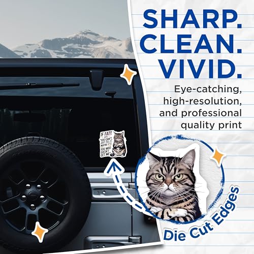 (2 Pack) Funny Cat Stickers - Motivational Quote - Cute Animal Art Decals - 5" On Longest Side - Sticks to Smooth Flat Surfaces - Made in USA - BMCS8758