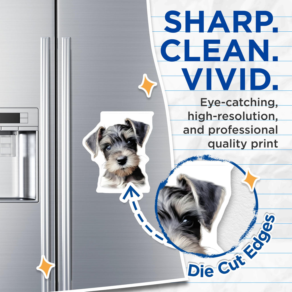 (2 Pack) Schnauzer Puppy Magnets - Miniature Dog Lover Decor - Animal Fridge Display - 5 Inches On Longest Side - Thick Durable Magnet - Made in USA - MAG30831