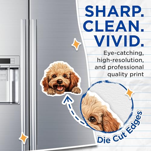 (2 Pack) Adorable Pet Decor Magnet - 5" On Longest Side - Sticks to Smooth Flat Surfaces - Made in USA - MAG10329