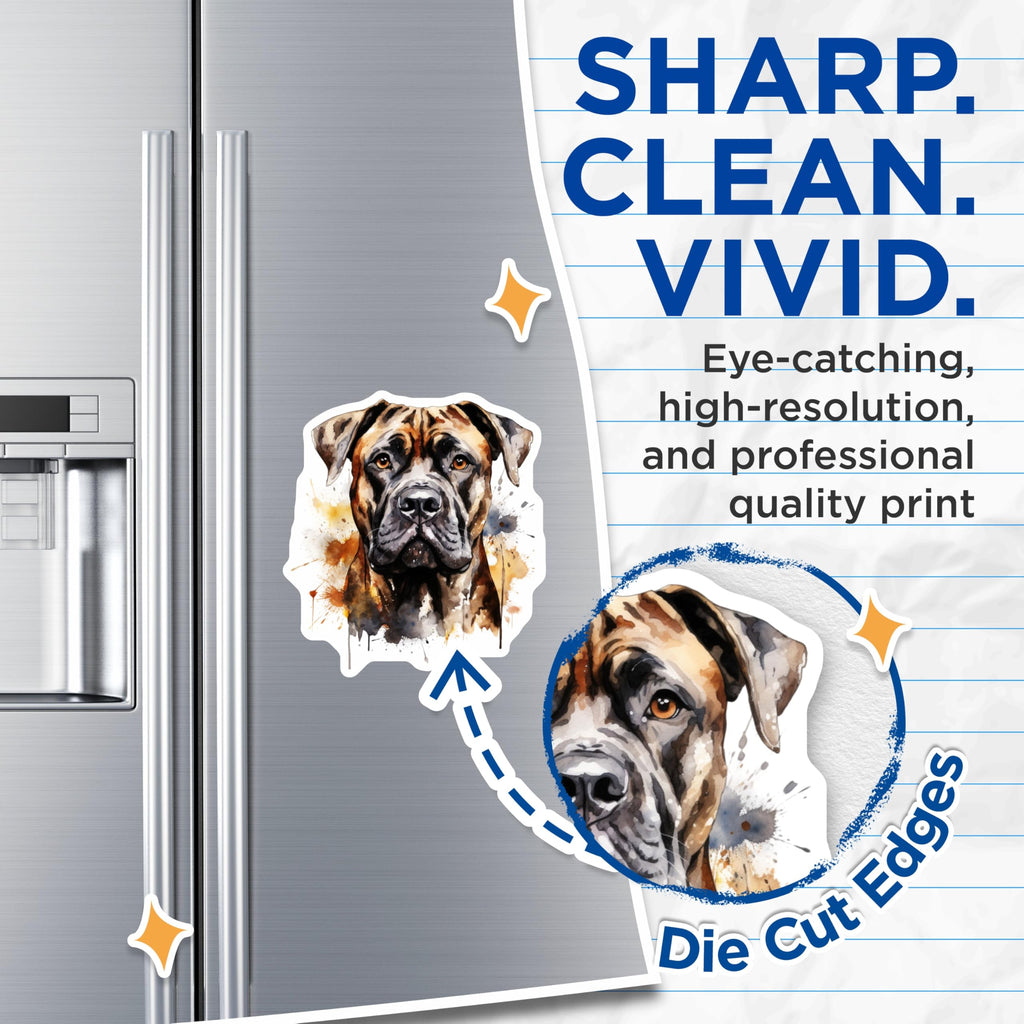 (2 Pack) Brindle Mastiff Magnets - Watercolor Dog Art - Cane Corso Bullmastiff Owner Accent - 5 Inches On Longest Side - Thick Durable Magnet - Made in USA - MAG29107