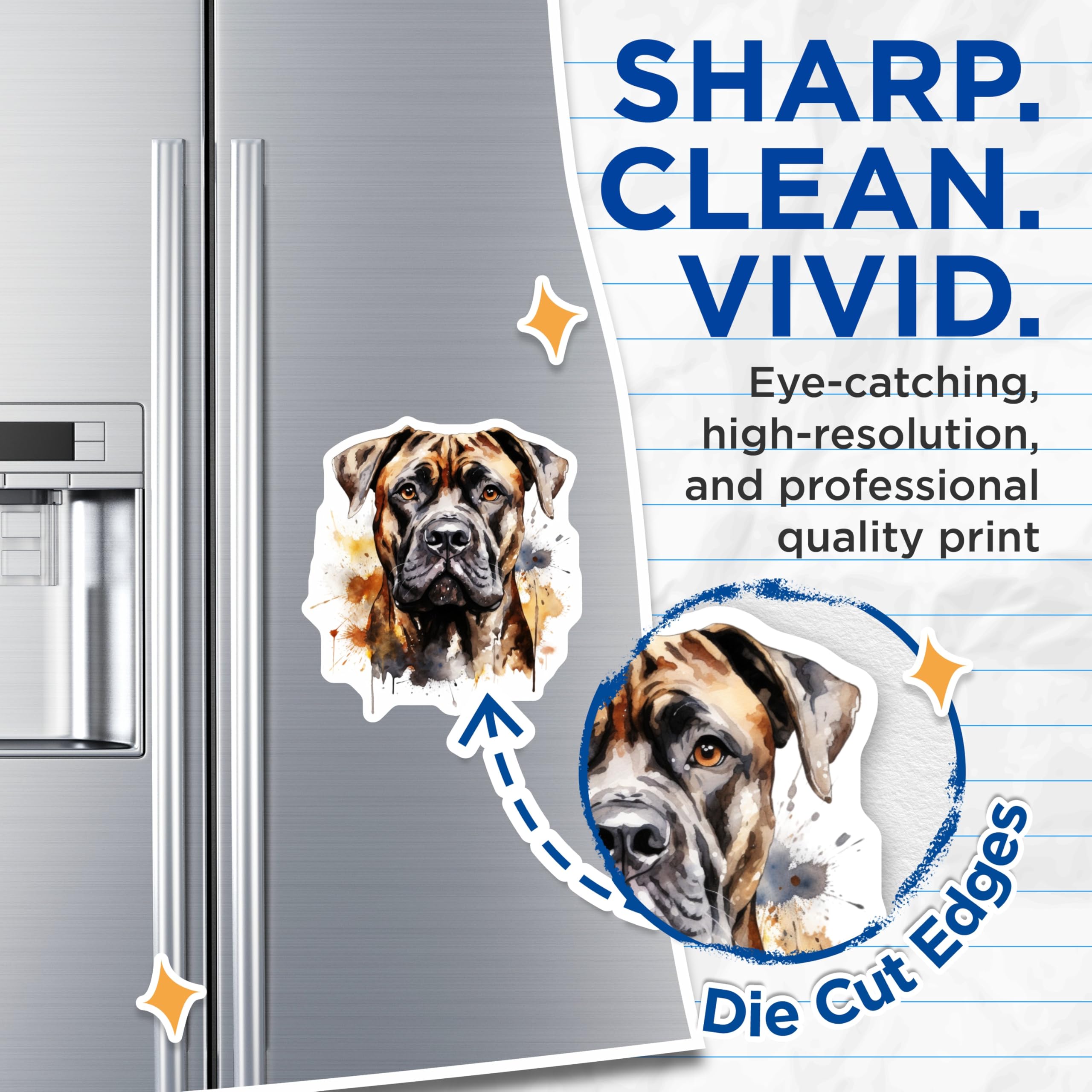 (2 Pack) Brindle Mastiff Magnets - Watercolor Dog Art - Cane Corso Bullmastiff Owner Accent - 5 Inches On Longest Side - Thick Durable Magnet - Made in USA - MAG29107