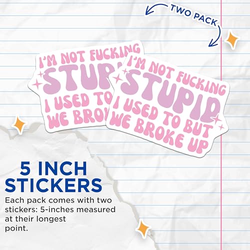 (2 Pack) Funny Phrase Stickers - Sarcastic Quote - Humorous Pink Decal - 5" On Longest Side - Sticks to Smooth Flat Surfaces - Made in USA - BMCS8486