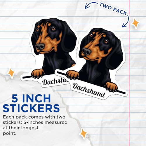 (2 Pack) Dachshund Cute Dog Stickers - Pet Lover Dog Breed Stickers - Adorable Black and Brown Dog Stickers - 5" On Longest Side - Sticks to Smooth Flat Surfaces - Made in USA - BMCS4227