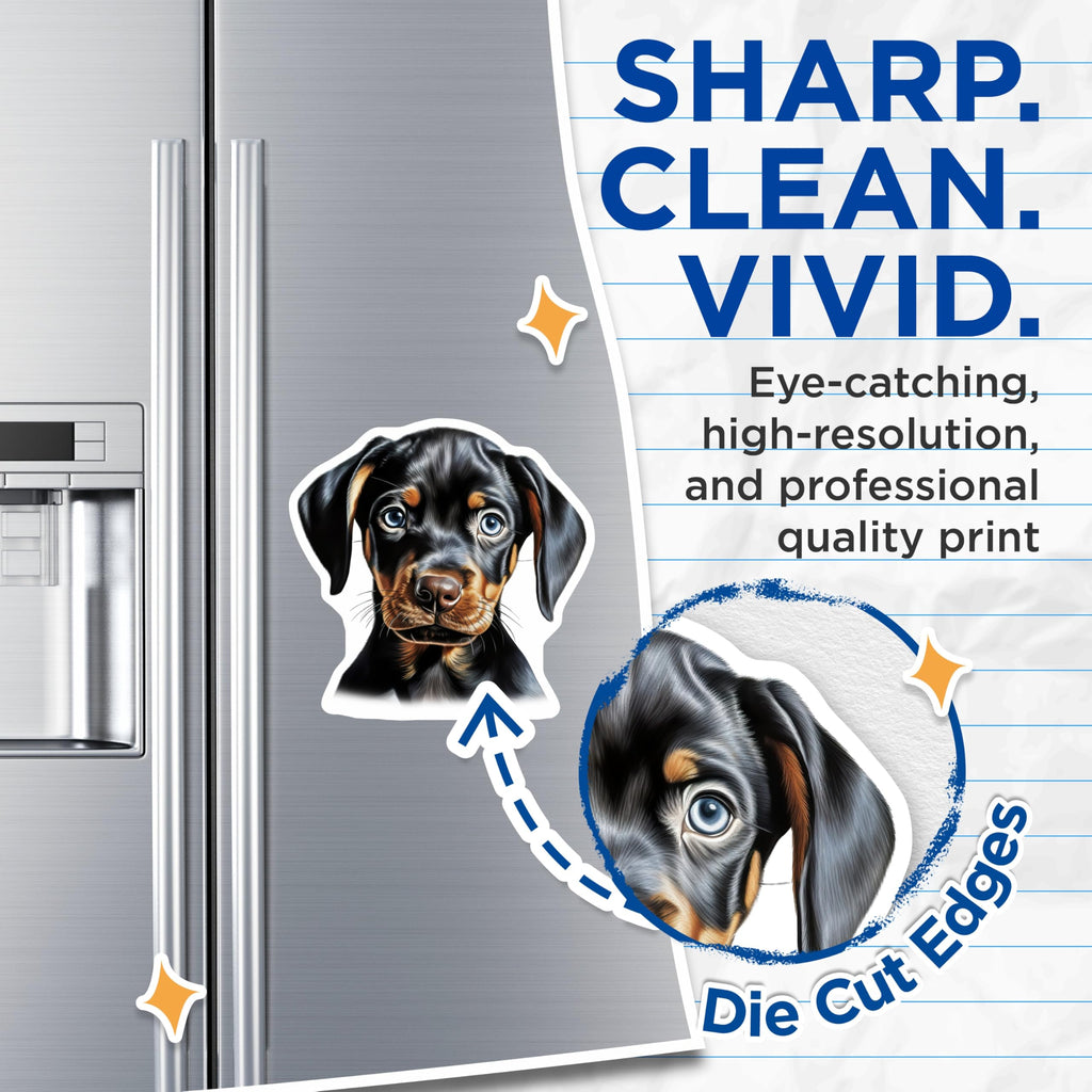 (2 Pack) Doberman Puppy Magnets - Cute Dog Refrigerator Decor - Pet Owner Kitchen Accessories - 5 Inches On Longest Side - Thick Durable Magnet - Made in USA - MAG29687