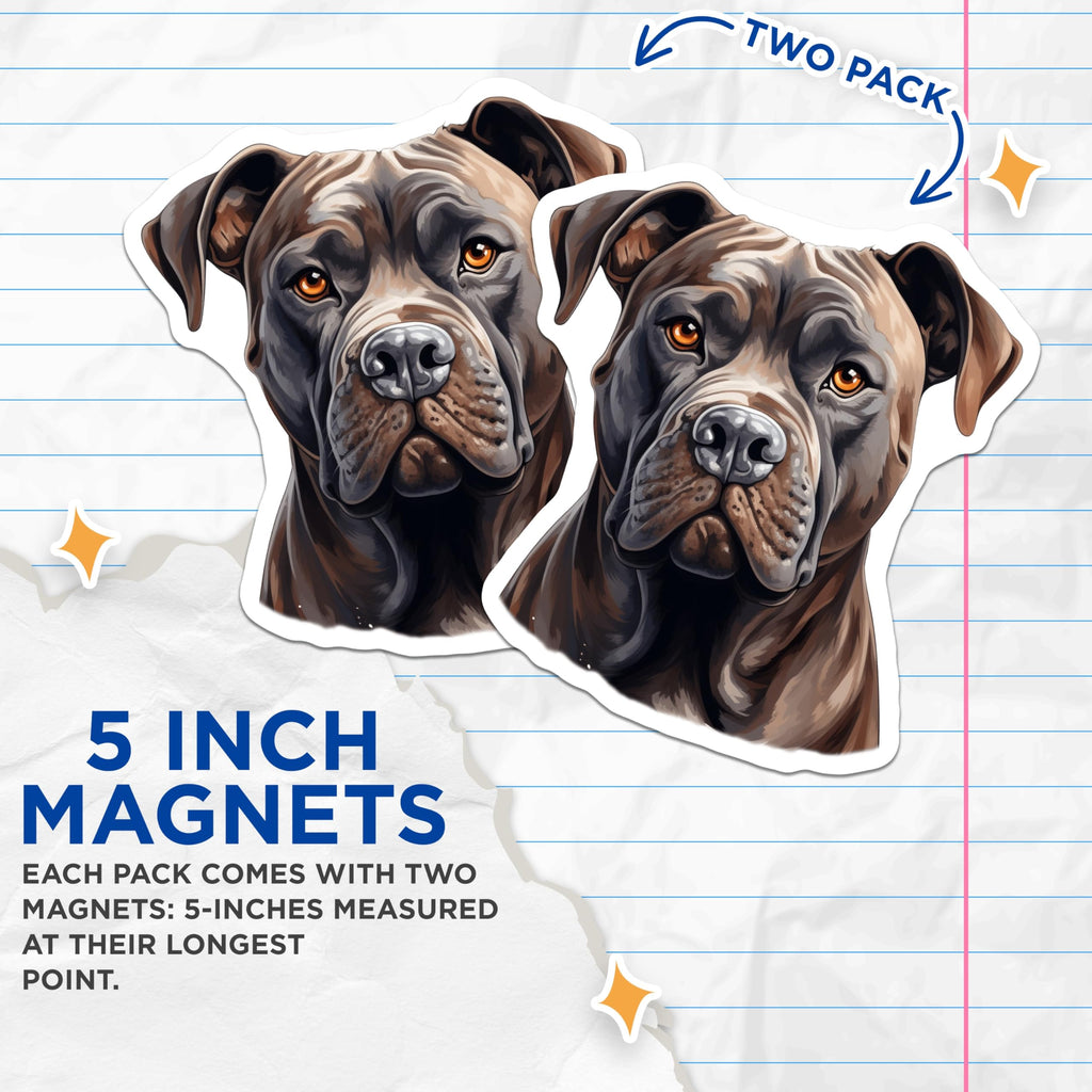 (2 Pack) Cane Corso Dog Breed Magnets - Powerful Mastiff Animal Portrait - Refrigerator Kitchen Locker Home Decor - 5 Inches On Longest Side - Thick Durable Magnet - Made in USA - MAG23250