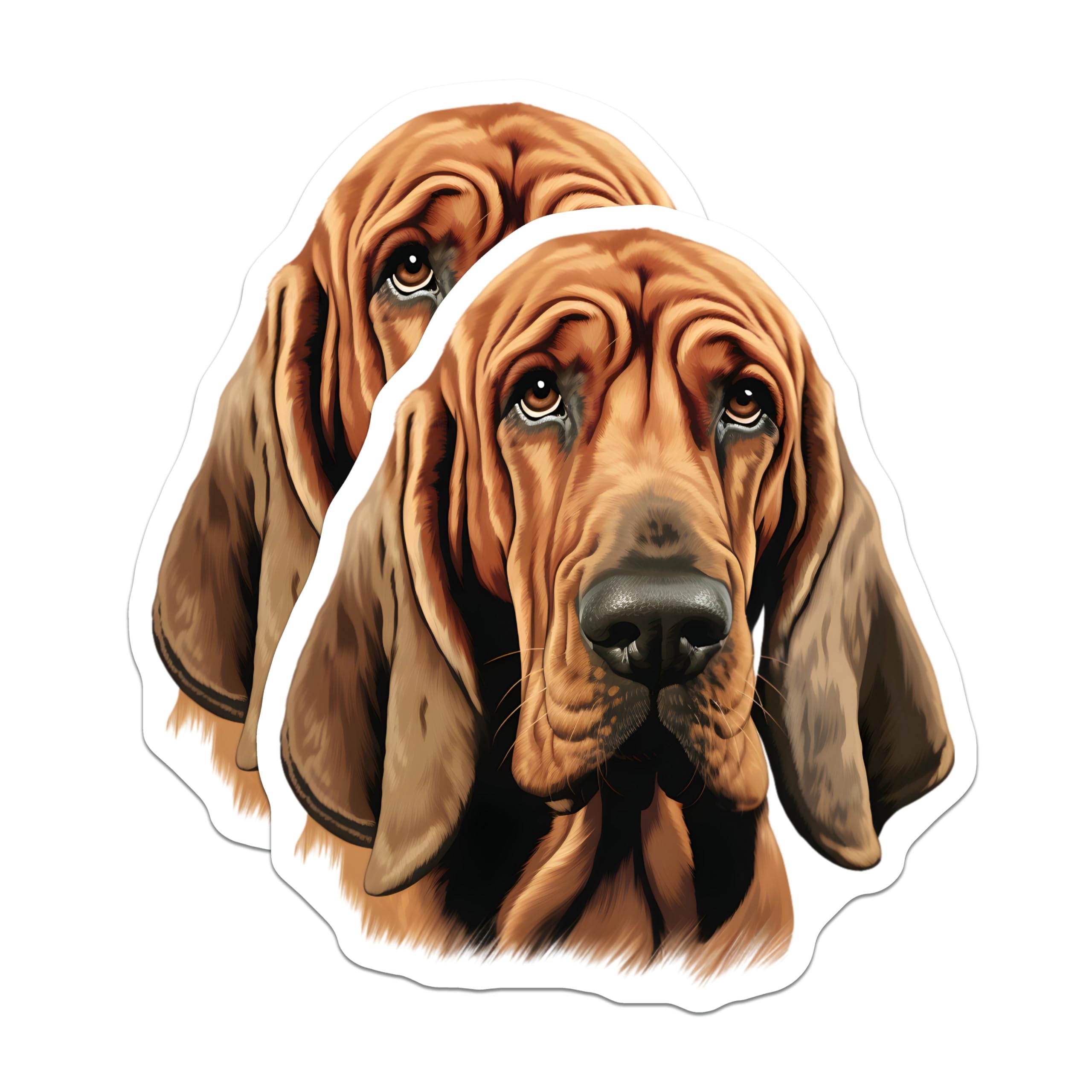 (2 Pack) Bloodhound Dog Portrait Magnets - Lifelike Hound Dog Art - Pet Owner Refrigerator Decor - 5 Inches On Longest Side - Thick Durable Magnet - Made in USA - MAG27366