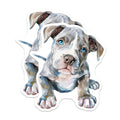 (2 Pack) Pitbull Puppy Magnets - Watercolor Dog Art - Blue Eyed Canine Decor - Dog Mom Fridge Accent - 5 Inches On Longest Side - Thick Durable Magnet - Made in USA - MAG36032