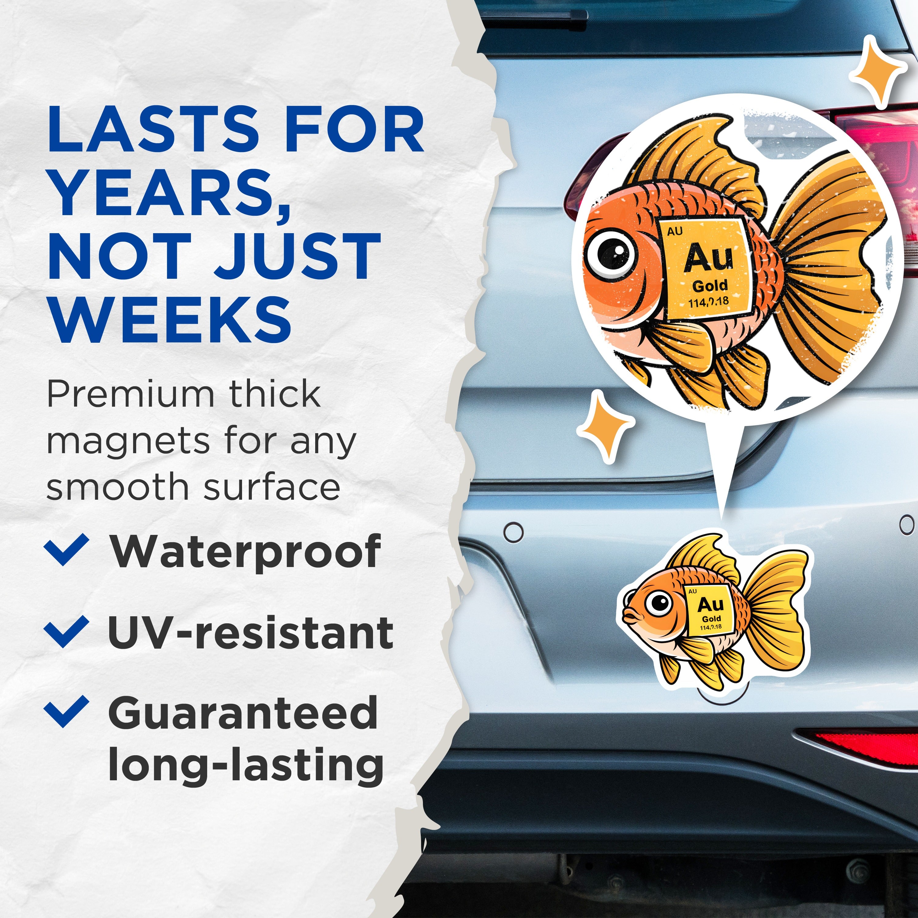 (2 Pack) Goldfish Au Gold Magnets - Science Teacher Decor - Chemist Student Cute Animal Pun Refrigerator Magnet - 5 Inches On Longest Side - Thick Durable Magnet - Made in USA - MAG36602