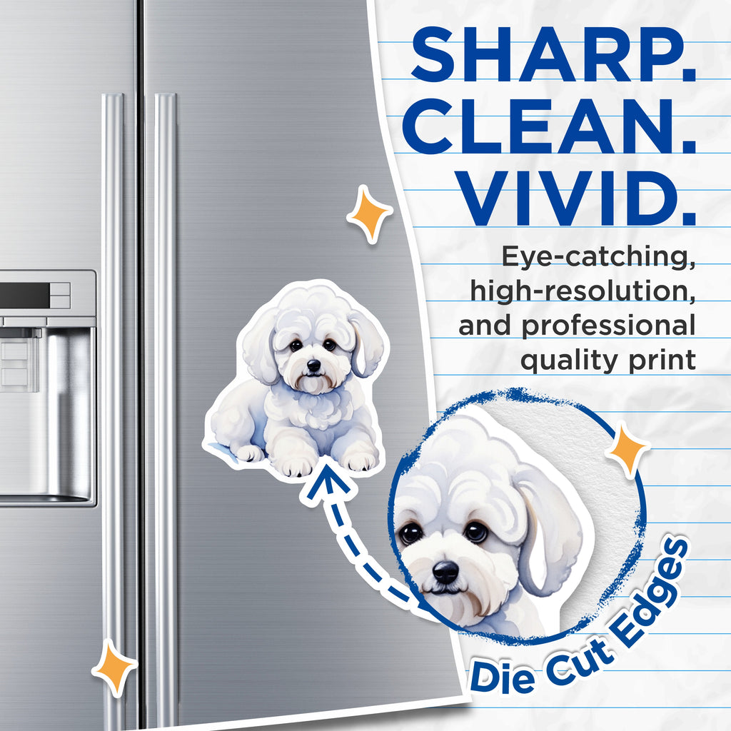 (2 Pack) Adorable Bichon Frise Magnets - Fluffy White Puppy Lover - Dog Mom Refrigerator Locker Decor - 5 Inches On Longest Side - Thick Durable Magnet - Made in USA - MAG39585