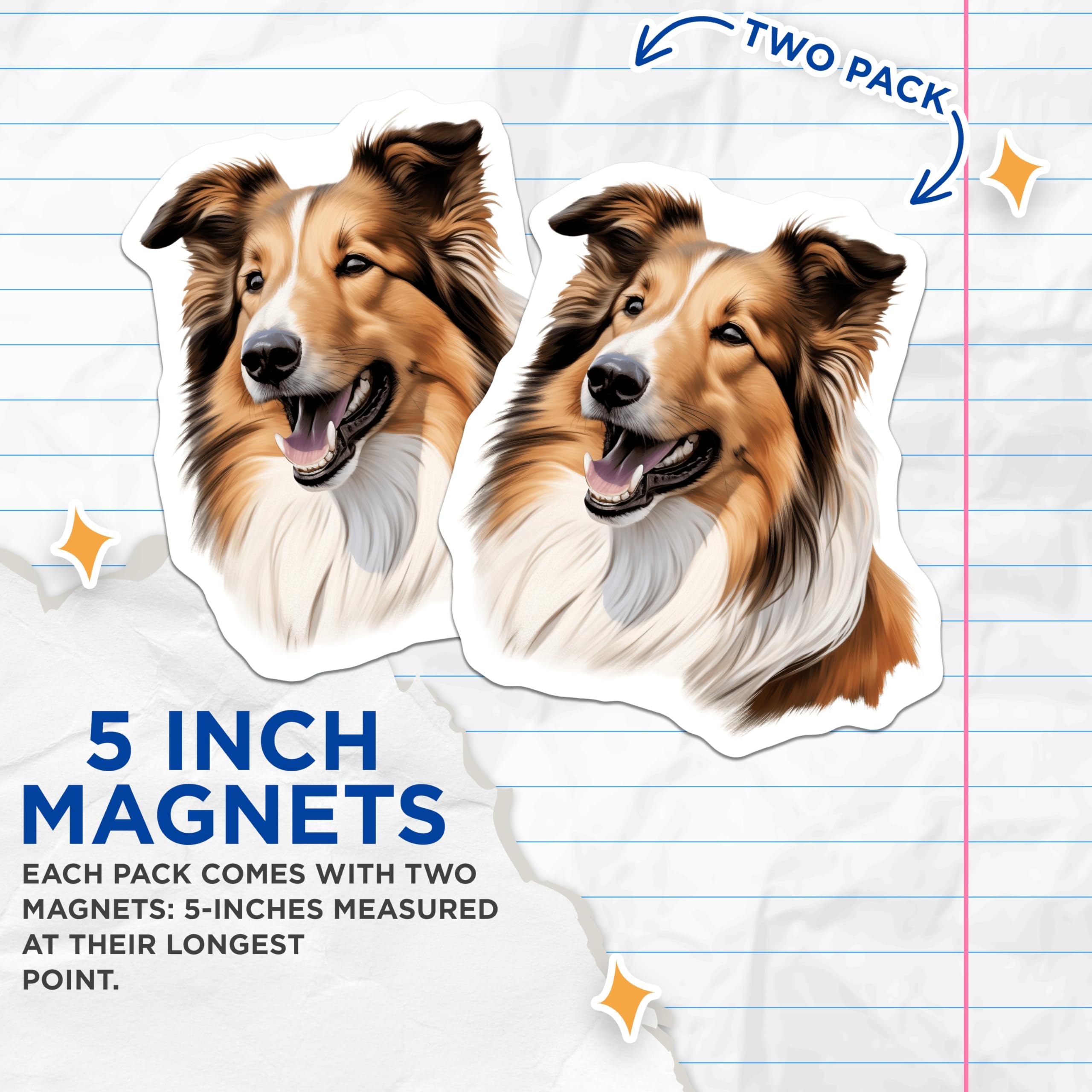 (2 Pack) Rough Collie Dog Magnets - Realistic Pet Portrait - Collie Mom Dog Lover Refrigerator Decor - 5 Inches On Longest Side - Thick Durable Magnet - Made in USA - MAG27599