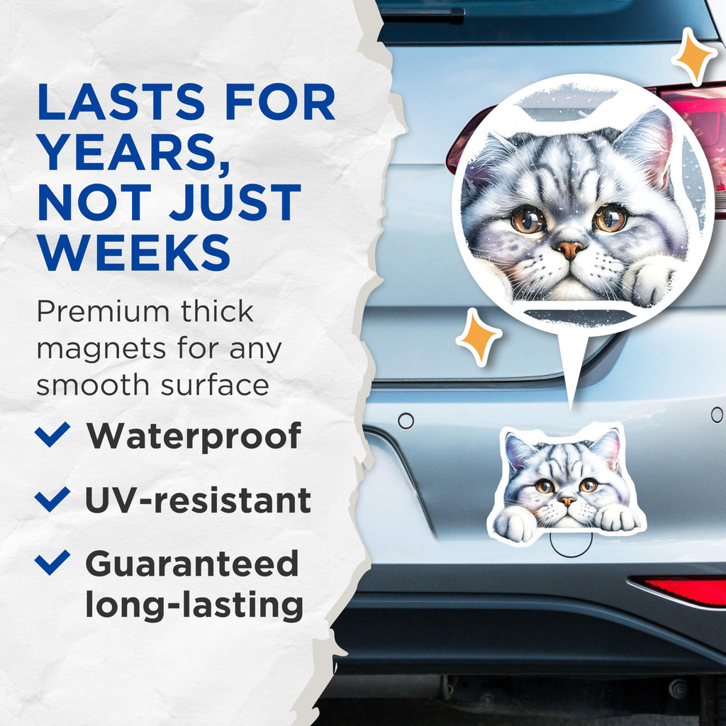 (2 Pack) Tabby Cat Magnets - Silver Tabby Kitten - Refrigerator Decor for Cat Lovers - 5" On Longest Side - Premium Magnet - for Cars, Refrigerators, Toolboxes, Lockers - Made in USA - MAG14537