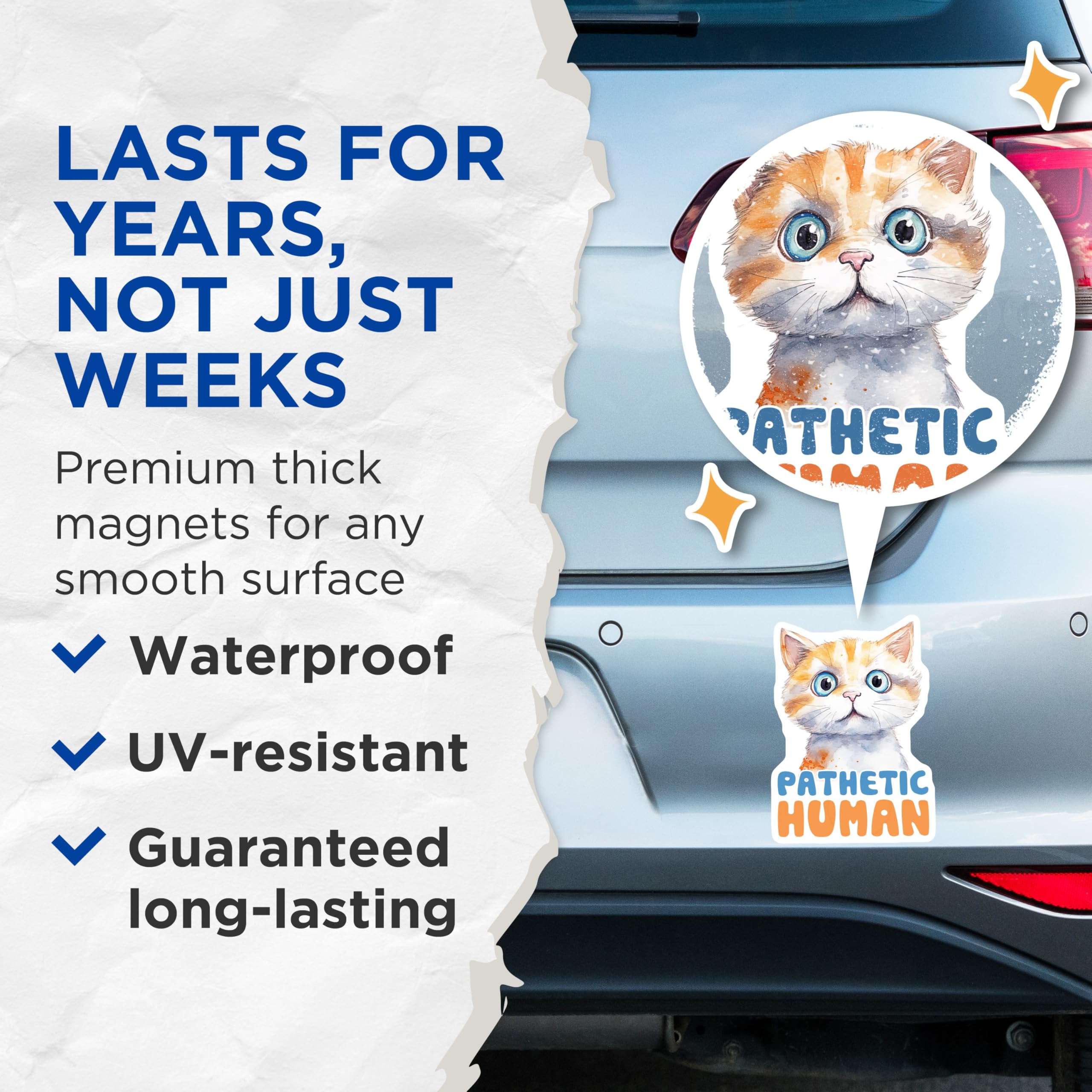 (2 Pack) Pathetic Human Cat Magnets - Funny Cat Lover Decor - Sarcastic Pet Magnets - 5" On Longest Side - Premium Magnet - for Cars, Refrigerators, Toolboxes, Lockers - Made in USA - MAG16227