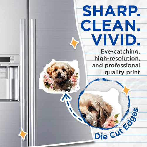(2 Pack) Adorable Cavapoo Dog Magnets - Watercolor Floral Puppy Art - Aesthetic Pet Lover Refrigerator Kitchen Decor - 5 Inches On Longest Side - Thick Durable Magnet - Made in USA - MAG24064