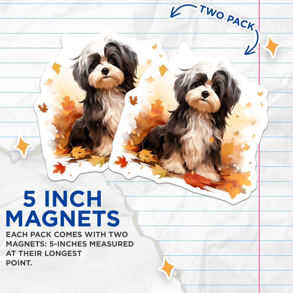 (2 Pack) Havanese Dog Magnets - Cute Pet Art - Autumn Leaf Decor - Dog Lover Fridge Decor - 5 Inches On Longest Side - Thick Durable Magnet - Made in USA - MAG28244