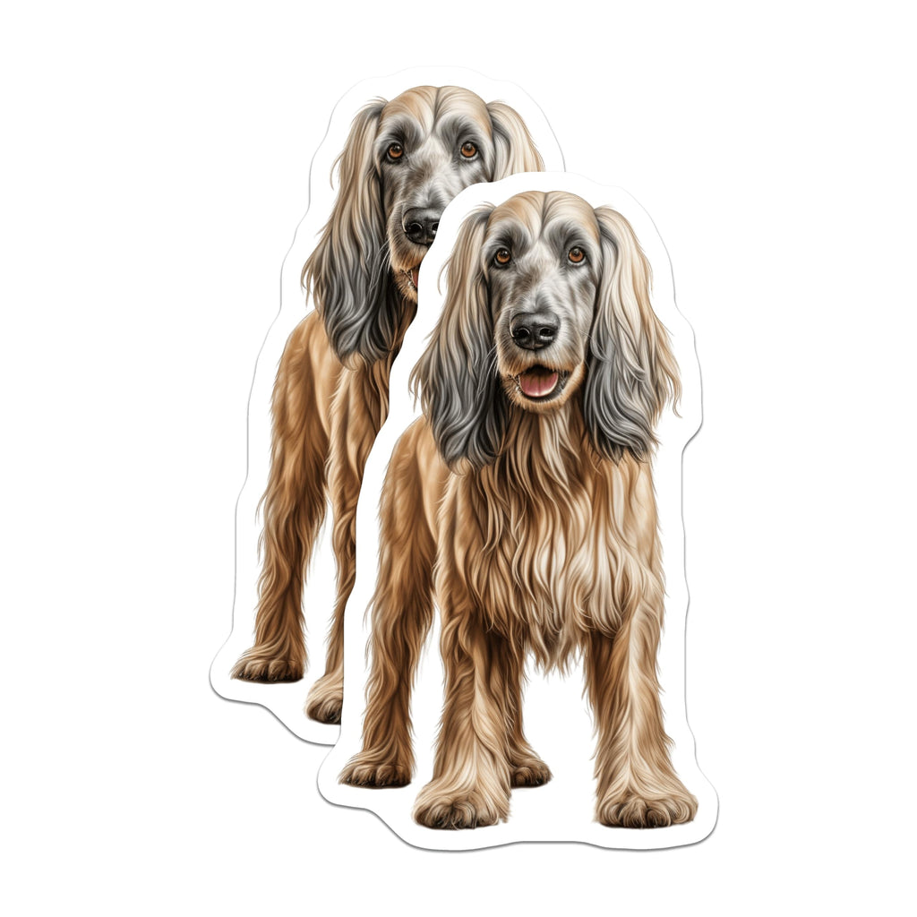 (2 Pack) Afghan Hound Dog Magnets - Long Haired Pet Art - Canine Refrigerator Decoration - 5 Inches On Longest Side - Thick Durable Magnet - Made in USA - MAG27163