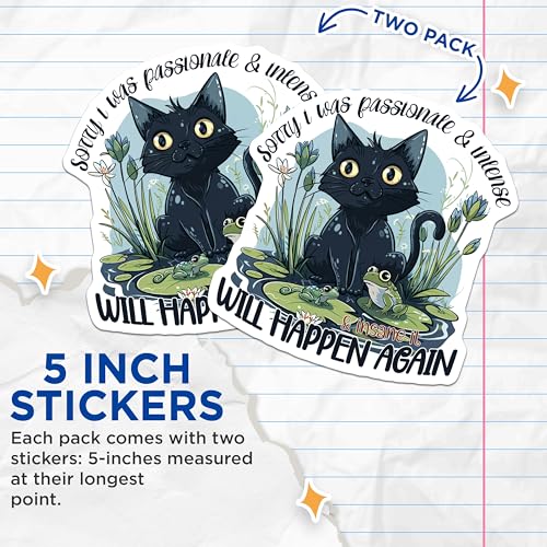 (2 Pack) Funny Black Cat Stickers - Quirky Cat Quotes Stickers - Cute Frog and Cat Stickers for Water Bottles - 5" On Longest Side - Sticks to Smooth Flat Surfaces - Made in USA - BMCS4353