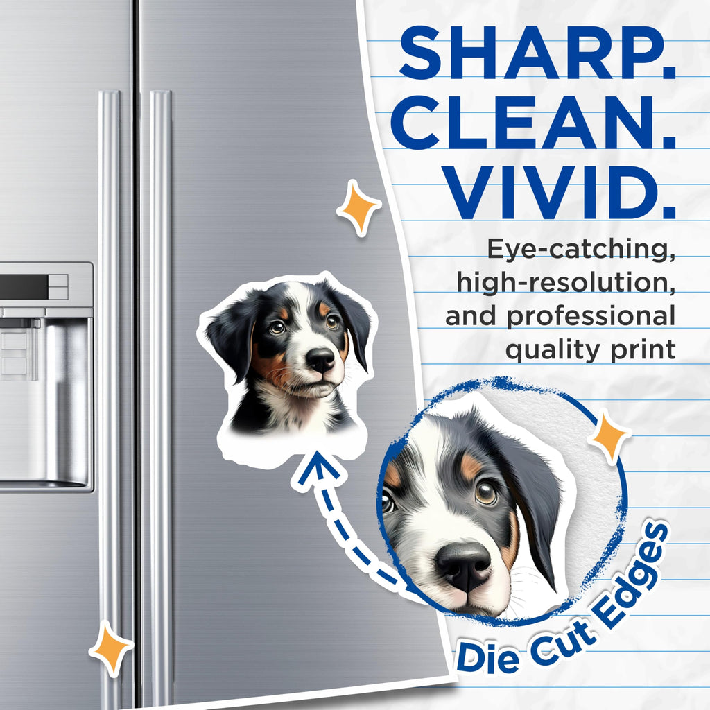 (2 Pack) Cute Puppy Face Magnets - Bernese Mountain Dog Art - Dog Mom Pet Lover Decor - 5 Inches On Longest Side - Thick Durable Magnet - Made in USA - MAG25259