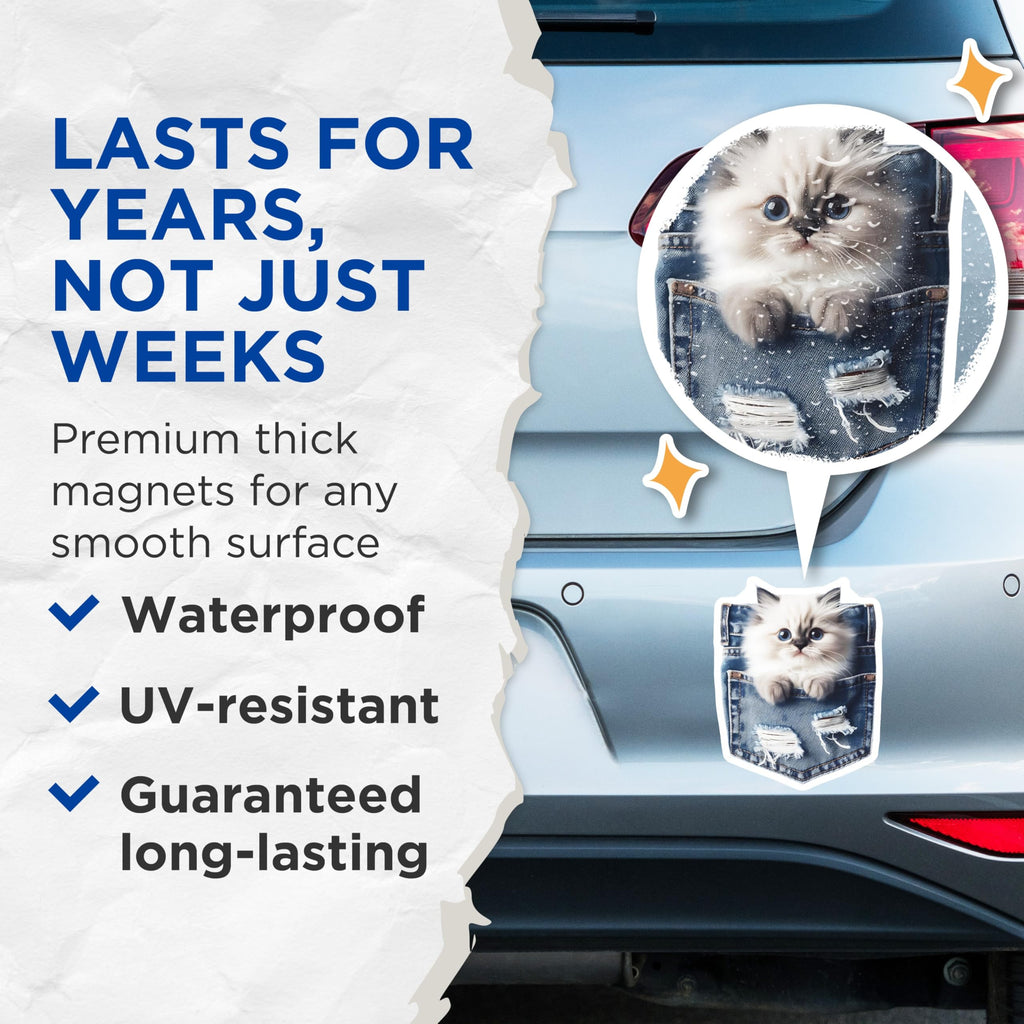 (2 Pack) Pocket Cat Magnets - Ragdoll Kitten - Blue Eyes Refrigerator Decor - 5" On Longest Side - Premium Magnet - for Cars, Refrigerators, Toolboxes, Lockers - Made in USA - MAG14985
