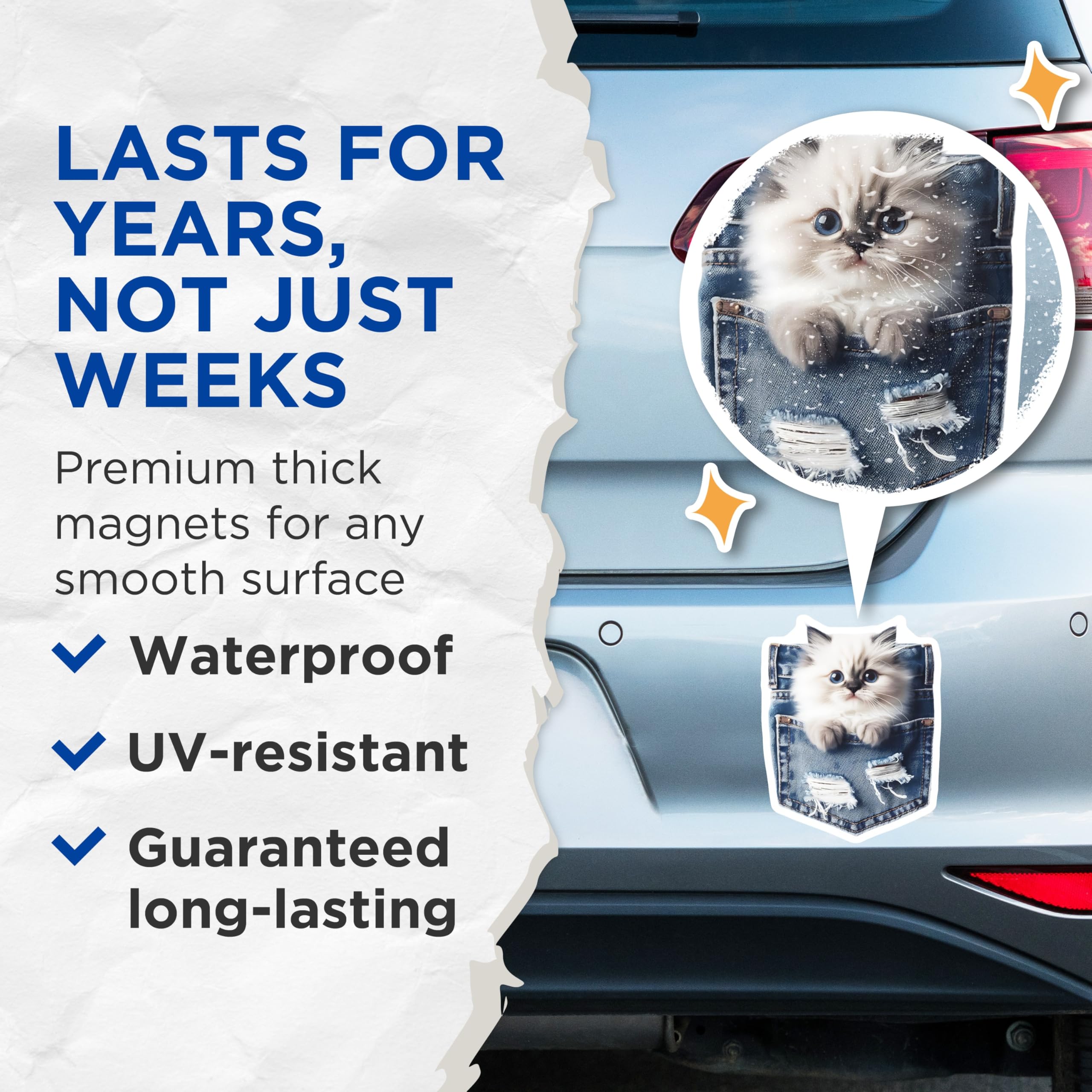 (2 Pack) Pocket Cat Magnets - Ragdoll Kitten - Blue Eyes Refrigerator Decor - 5" On Longest Side - Premium Magnet - for Cars, Refrigerators, Toolboxes, Lockers - Made in USA - MAG14985