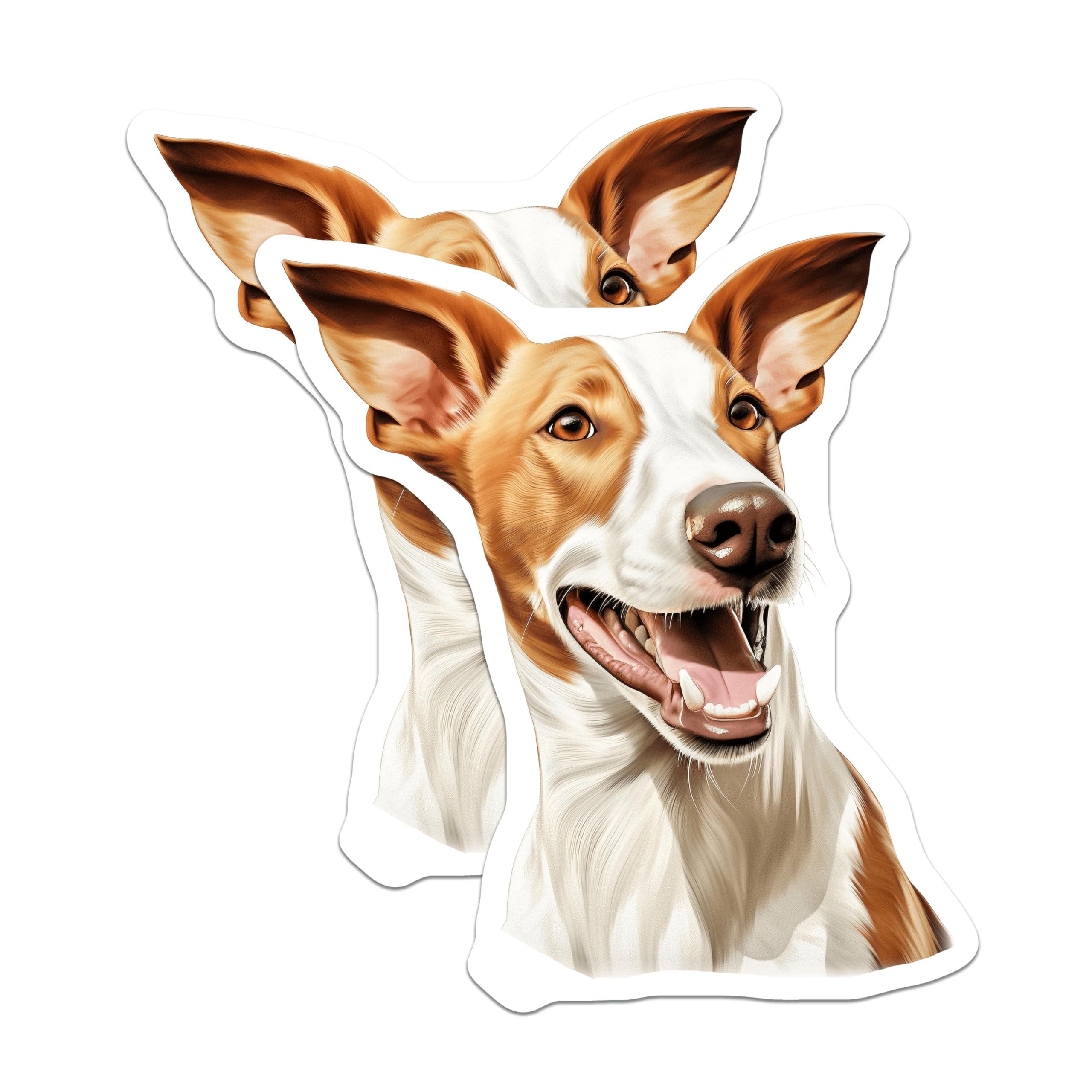 (2 Pack) Ibizan Hound Magnets - Happy Podenco Dog Art - Pet Lover Refrigerator Decor - 5 Inches On Longest Side - Thick Durable Magnet - Made in USA - MAG23989