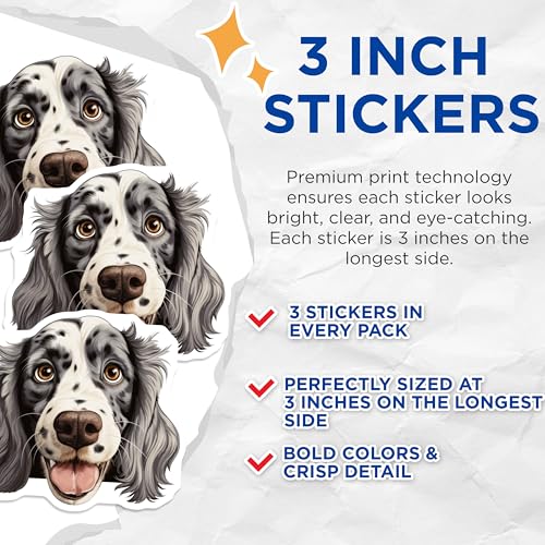(3 Pack) English Setter Decals - Dog Breed Stickers - Laptop Decals - 3 Inches On Longest Side - Easy Peel & Apply - Made in USA - 3MCS8739