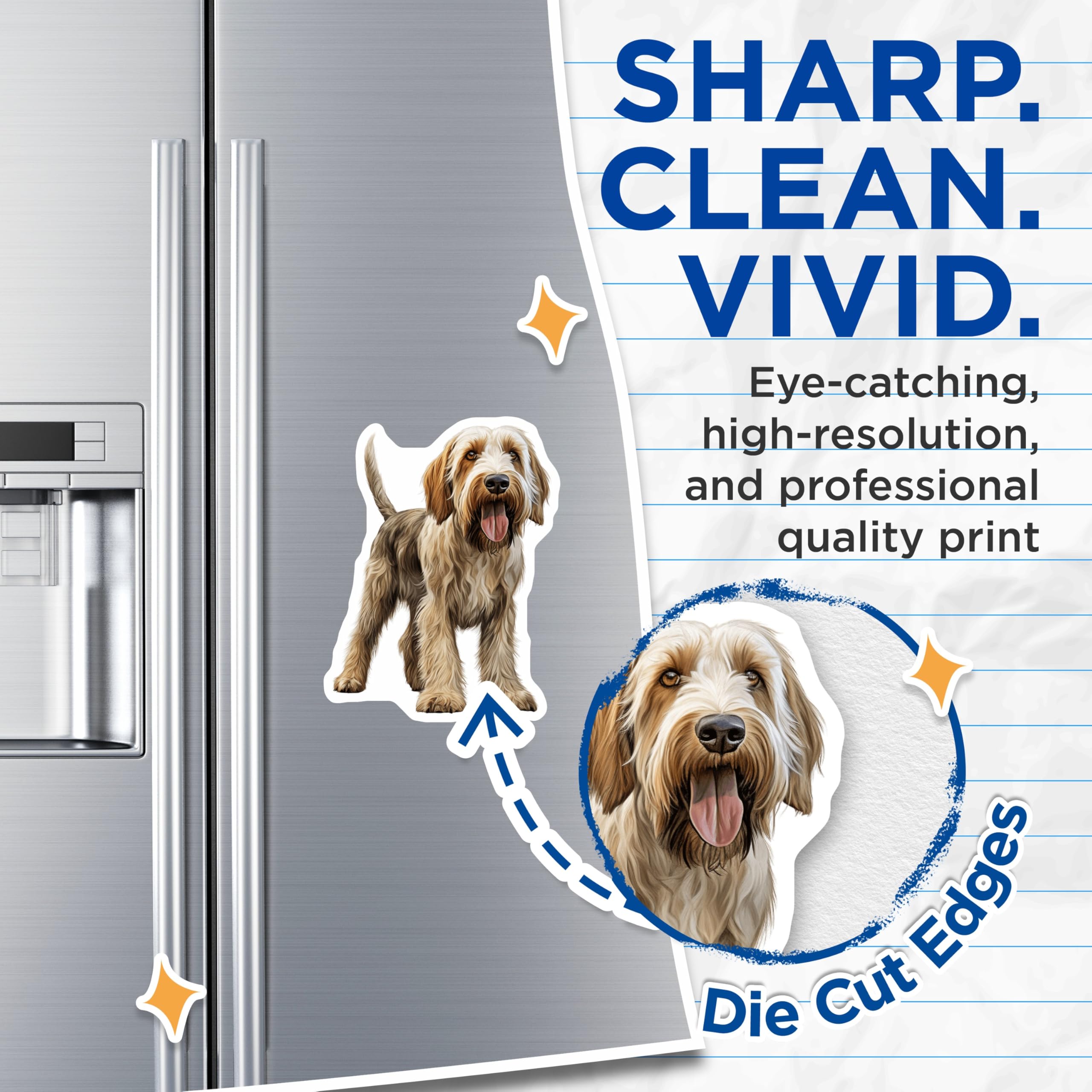 (2 Pack) Grand Basset Griffon Vendeen Magnets - Beloved Dog Breed Art - Shaggy Hound Enthusiast Decor - 5 Inches On Longest Side - Thick Durable Magnet - Made in USA - MAG23598