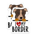 (2 Pack) I Love My Border Stickers - Dog Lover Stickers - Cute Border Collie Decal - Pet Owner Vinyl Stickers for Laptop - 5" On Longest Side - Sticks to Smooth Flat Surfaces - Made in USA - BMCS4302