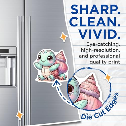 (2 Pack) Adorable Sea Life Magnet - Cartoon Turtle Decor - 5" On Longest Side - Sticks to Smooth Flat Surfaces - Made in USA - MAG10086