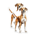 (2 Pack) Hound Dog Magnets - Dog Lover Decor - Pet Owner Kitchen Art - 5 Inches On Longest Side - Thick Durable Magnet - Made in USA - MAG29653