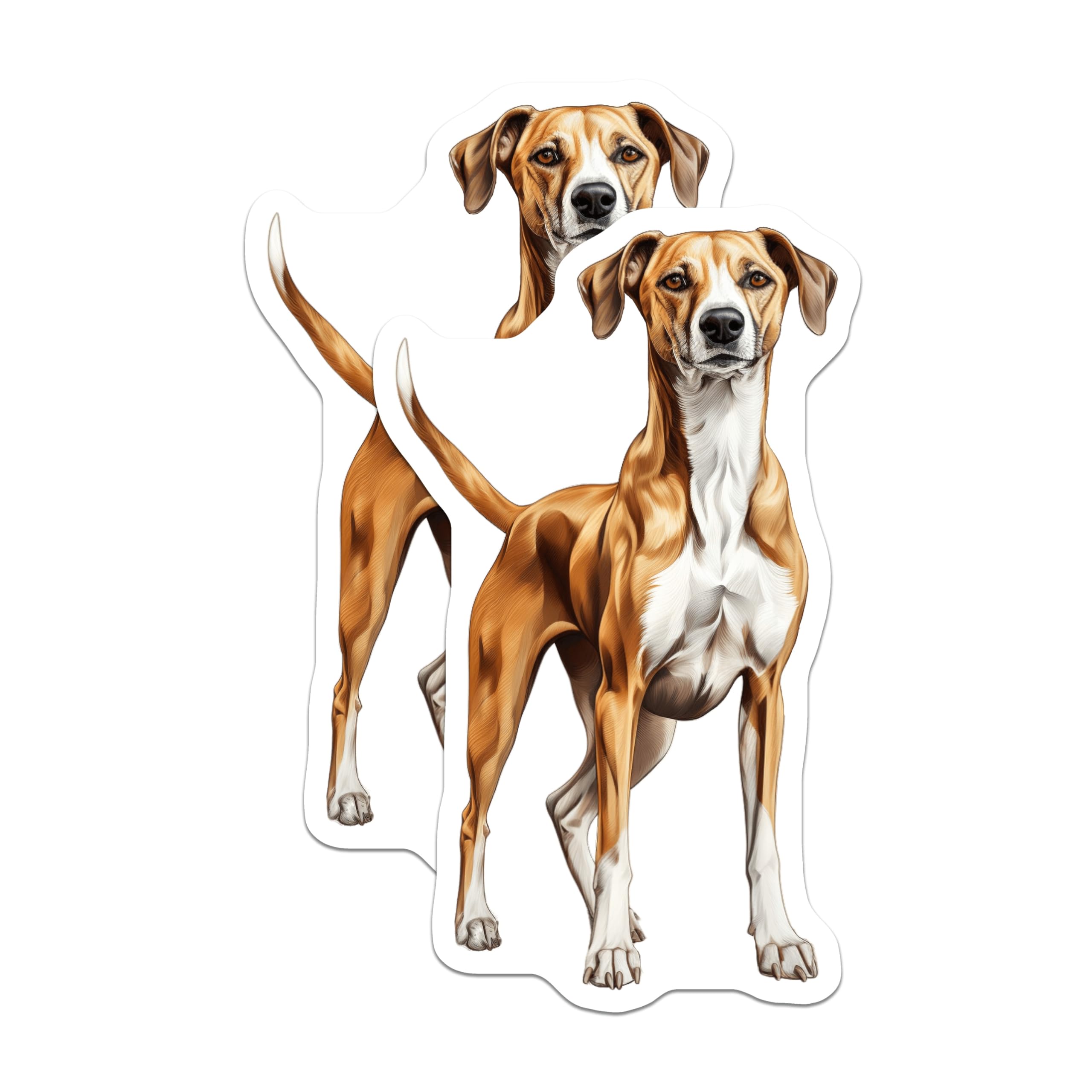 (2 Pack) Hound Dog Magnets - Dog Lover Decor - Pet Owner Kitchen Art - 5 Inches On Longest Side - Thick Durable Magnet - Made in USA - MAG29653
