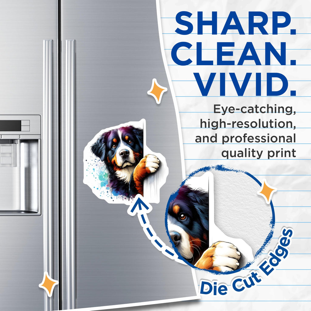 (2 Pack) Bernese Mountain Dog Magnets - Dog Breed Decor - Pet Lover Fridge Magnets - 5" On Longest Side - Premium Magnet - for Cars, Refrigerators, Toolboxes, Lockers - Made in USA - MAG15071
