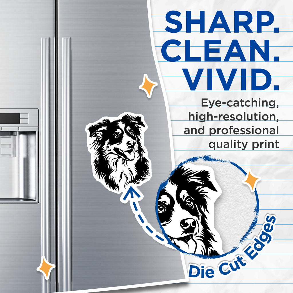 (2 Pack) Border Collie Magnets - Dog Lover Refrigerator Decor - Pet Owner Kennel Accessories for Fridge - 5 Inches On Longest Side - Thick Durable Magnet - Made in USA - MAG36382