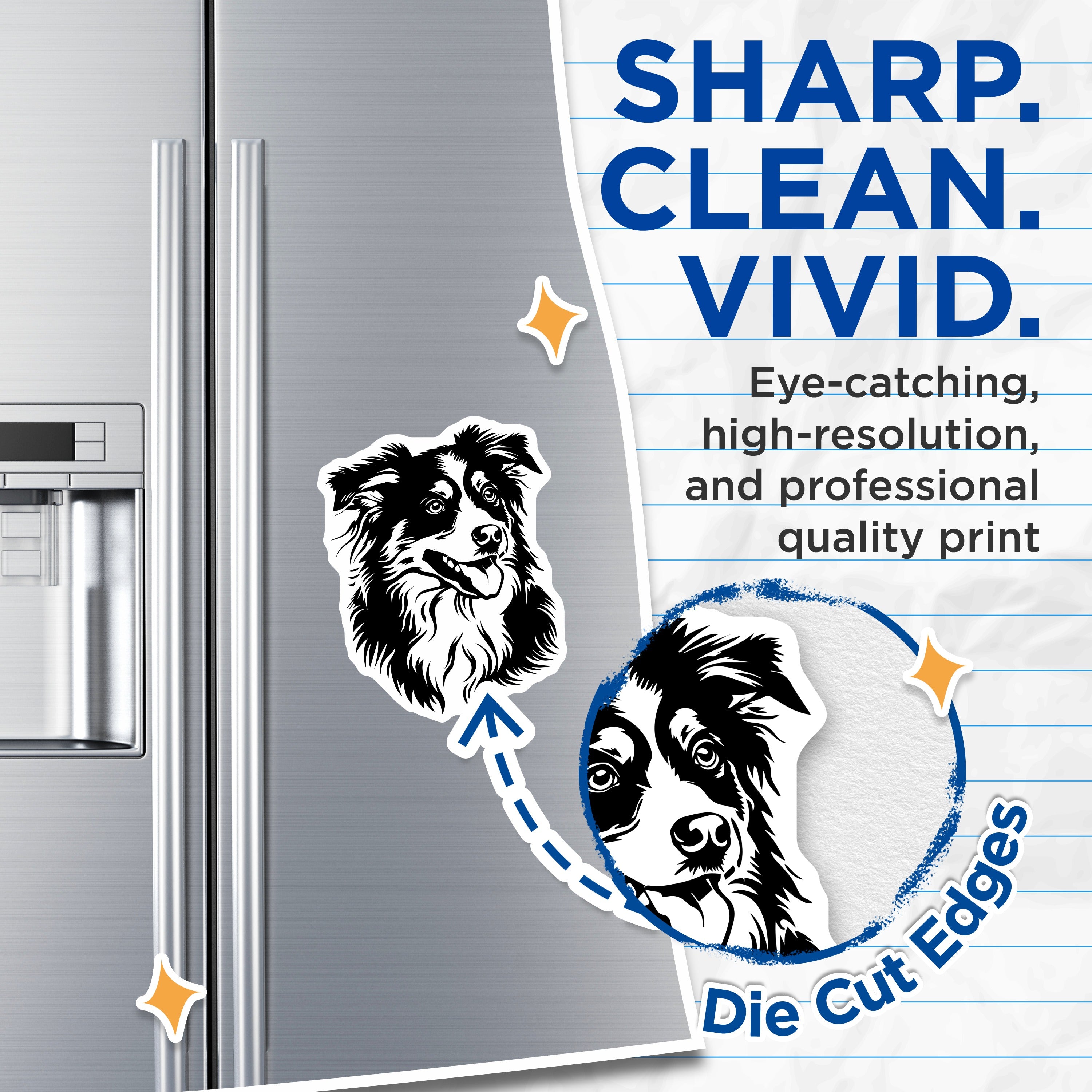 (2 Pack) Border Collie Magnets - Dog Lover Refrigerator Decor - Pet Owner Kennel Accessories for Fridge - 5 Inches On Longest Side - Thick Durable Magnet - Made in USA - MAG36382