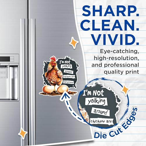 (2 Pack) Chicken Magnets - Funny Kitchen Decor Magnets - Farmhouse Chicken Magnets- 5" On Longest Side - for Fridges, Toolboxes, Cars - Made in USA - MAG2601