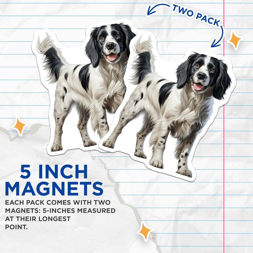 (2 Pack) Springer Spaniel Magnets - Black White Dog Art - Canine Enthusiast Decor - Animal Fridge Display - 5 Inches On Longest Side - Thick Durable Magnet - Made in USA - MAG23455