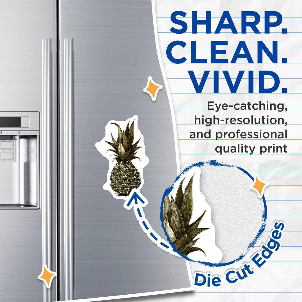 (2 Pack) Pineapple Eye Magnets - Weird Fruit Design - Kitchen Fridge Magnets - 5" On Longest Side - Premium Magnet - for Cars, Refrigerators, Toolboxes, Lockers - Made in USA - MAG16999